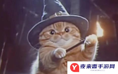 网络用语魔法猫猫是什么梗